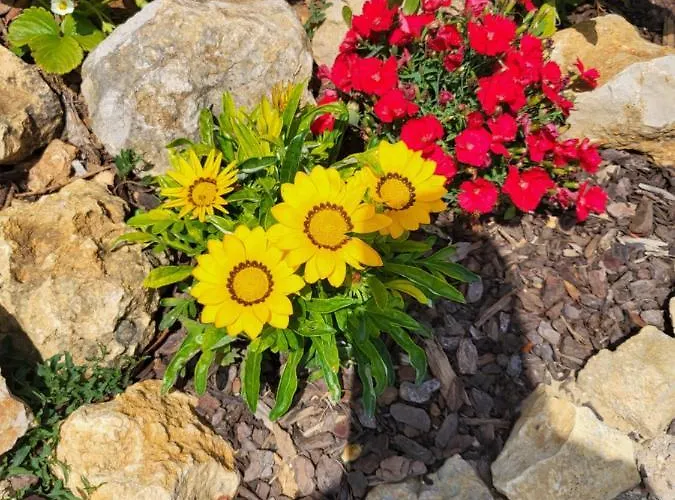 Salema Vila do Bispo