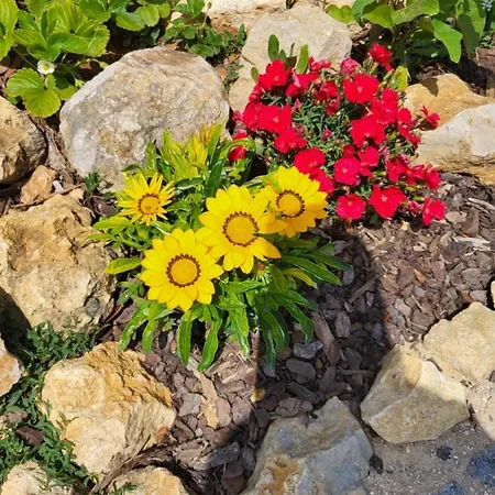 Salema فيلا دو بيسبو